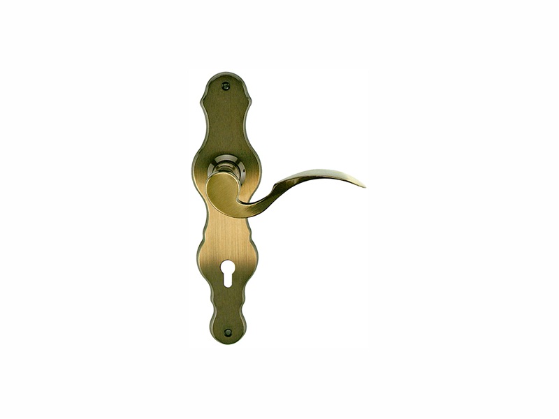 聯(lián)體門執(zhí)手